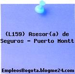 (L159) Asesor(a) de Seguros – Puerto Montt
