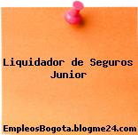 Liquidador de Seguros Junior