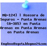 MQ-124] | Asesora de Seguros – Punta Arenas (A-385) en Punta Arenas en Punta Arenas en Punta Arenas