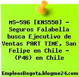 MS-596 [KNS550] – Seguros Falabella busca Ejecutivo de Ventas PART TIME, San Felipe en Chile – (P46) en Chile