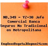 NB.349 – YZ-30 Jefe Comercial Banca Seguros No Tradicional en Metropolitana
