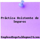 Práctica Asistente de Seguros