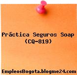 Práctica Seguros Soap (CQ-819)