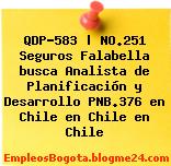 QDP-583 | NO.251 Seguros Falabella busca Analista de Planificación y Desarrollo PNB.376 en Chile en Chile en Chile