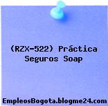 (RZX-522) Práctica Seguros Soap