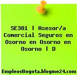 SE381 | Asesor/a Comercial Seguros en Osorno en Osorno en Osorno | D
