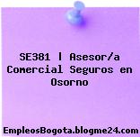 SE381 | Asesor/a Comercial Seguros en Osorno