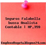 Seguros Falabella busca Analista Contable | HP.359