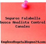 Seguros Falabella busca Analista Control Canales