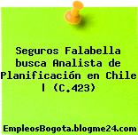 Seguros Falabella busca Analista de Planificación en Chile | (C.423)