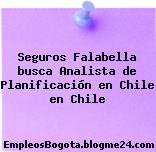 Seguros Falabella busca Analista de Planificación en Chile en Chile