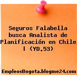 Seguros Falabella busca Analista de Planificación en Chile | (YD.53)