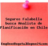 Seguros Falabella busca Analista de Planificación en Chile