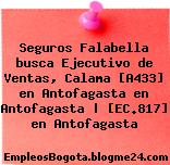 Seguros Falabella busca Ejecutivo de Ventas, Calama [A433] en Antofagasta en Antofagasta | [EC.817] en Antofagasta