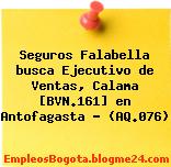 Seguros Falabella busca Ejecutivo de Ventas, Calama [BVN.161] en Antofagasta – (AQ.076)