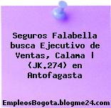 Seguros Falabella busca Ejecutivo de Ventas, Calama | (JK.274) en Antofagasta
