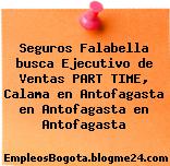 Seguros Falabella busca Ejecutivo de Ventas PART TIME, Calama en Antofagasta en Antofagasta en Antofagasta