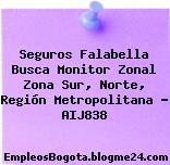 Seguros Falabella Busca Monitor Zonal Zona Sur, Norte, Región Metropolitana – AIJ838