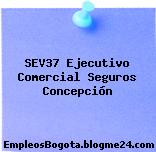SEV37 Ejecutivo Comercial Seguros Concepción