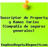 Suscriptor de Property y Ramos Varios (Compañía de seguros generales)