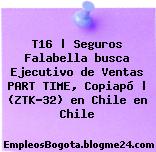 T16 | Seguros Falabella busca Ejecutivo de Ventas PART TIME, Copiapó | (ZTK-32) en Chile en Chile
