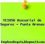 VCI856 Asesor(a) de Seguros – Punta Arenas