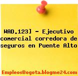 WAD.123] – Ejecutivo comercial corredora de seguros en Puente Alto