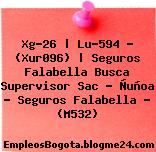 Xg-26 | Lu-594 – (Xur096) | Seguros Falabella Busca Supervisor Sac – Ñuñoa – Seguros Falabella – (M532)