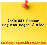 (XKQ133) Asesor Seguros Hogar / vida