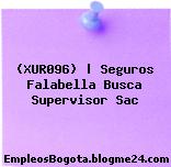 (XUR096) | Seguros Falabella Busca Supervisor Sac