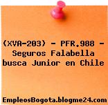(XVA-203) – PFR.988 – Seguros Falabella busca Junior en Chile