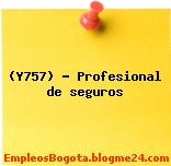 (Y757) – Profesional de seguros