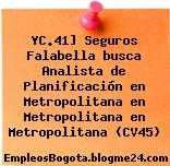 YC.41] Seguros Falabella busca Analista de Planificación en Metropolitana en Metropolitana en Metropolitana (CV45)