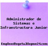 Administrador de Sistemas e Infraestructura Junior