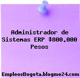 Administrador de Sistemas ERP $800.000 Pesos