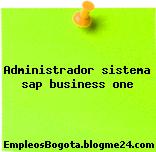 Administrador sistema sap business one