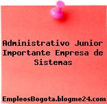 Administrativo Junior Importante Empresa de Sistemas