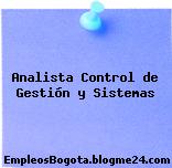 Analista Control de Gestión y Sistemas