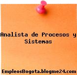 Analista de Procesos y Sistemas