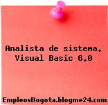 Analista de sistema. Visual Basic 6.0
