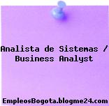 Analista de Sistemas / Business Analyst
