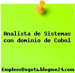 Analista de Sistemas con dominio de Cobol