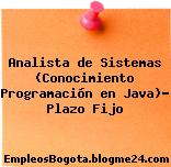 Analista de Sistemas (Conocimiento Programación en Java)- Plazo Fijo