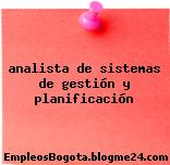 analista de sistemas de gestión y planificación