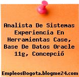 Analista De Sistemas Experiencia En Herramientas Case, Base De Datos Oracle 11g, Concepció