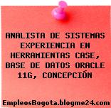 ANALISTA DE SISTEMAS EXPERIENCIA EN HERRAMIENTAS CASE, BASE DE DATOS ORACLE 11G, CONCEPCIÓN