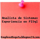 Analista de Sistemas Experiencia en PlSql