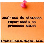 analista de sistemas Experiencia en procesos Batch