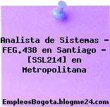 Analista de Sistemas – FEG.438 en Santiago – [SSL214] en Metropolitana