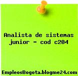 Analista de sistemas junior – cod c204